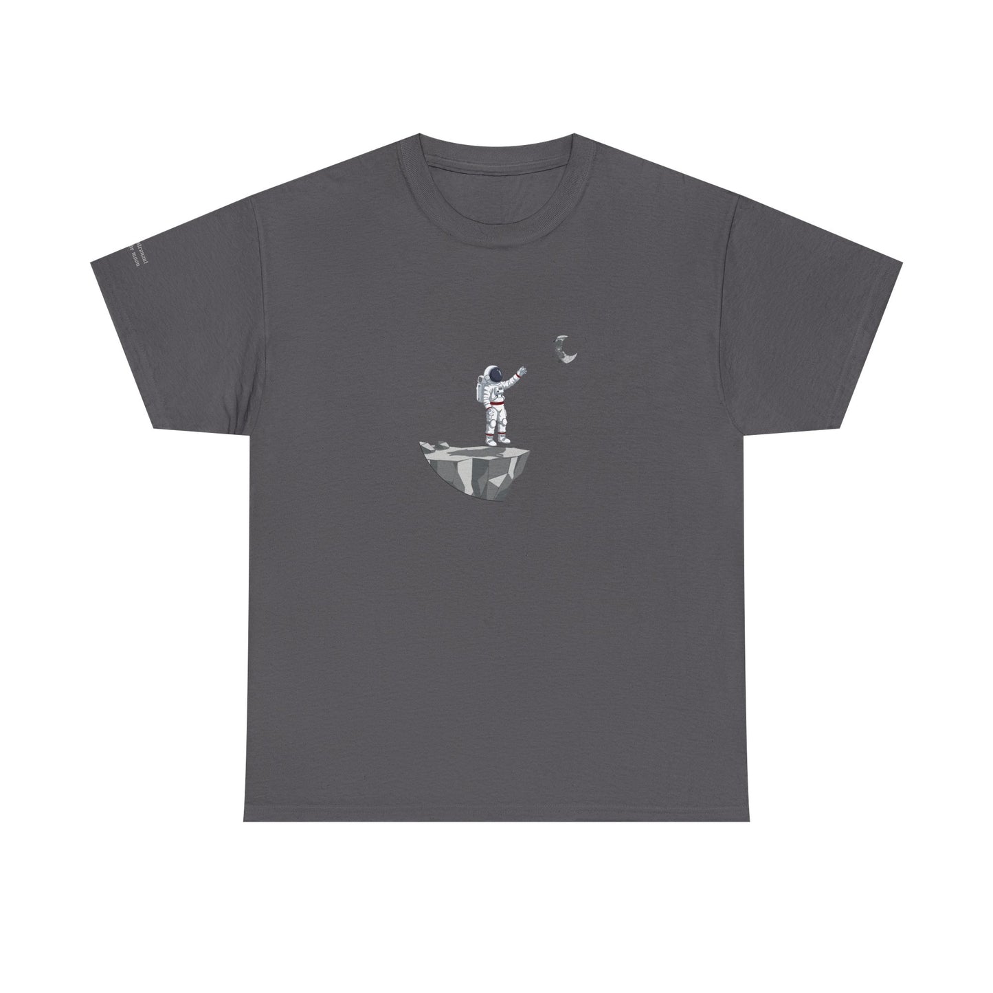 The Orbiter Embroidered Sweatshirt / Cotton Tee / Hoodie