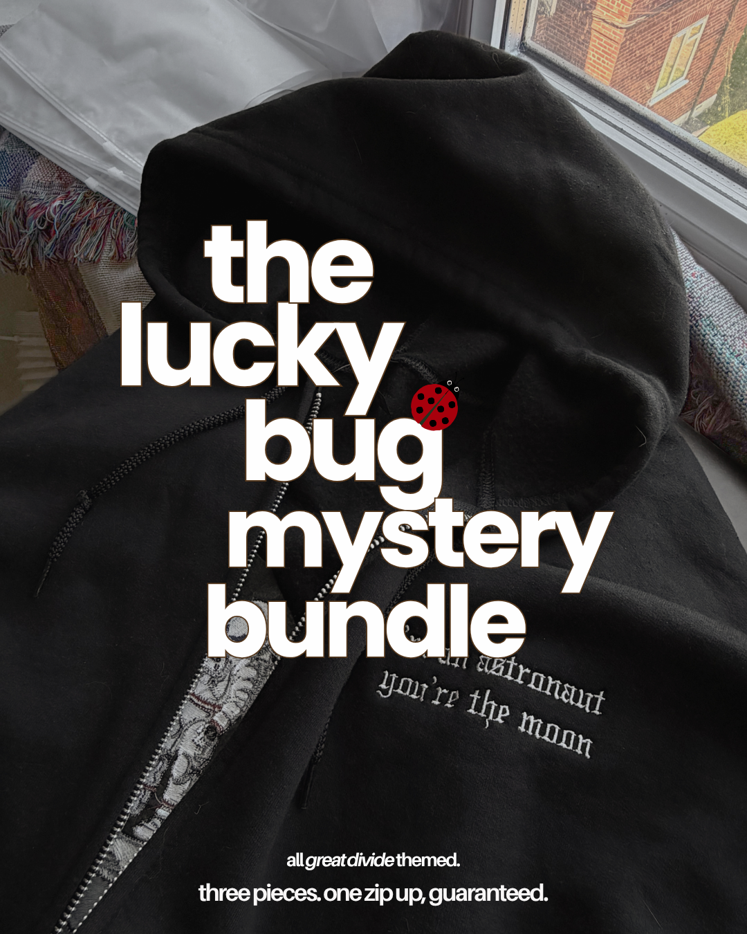 The Lucky Bug Mystery Bundle