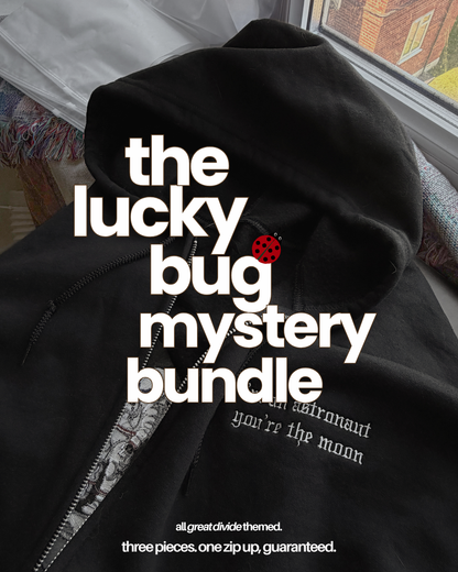 The Lucky Bug Mystery Bundle
