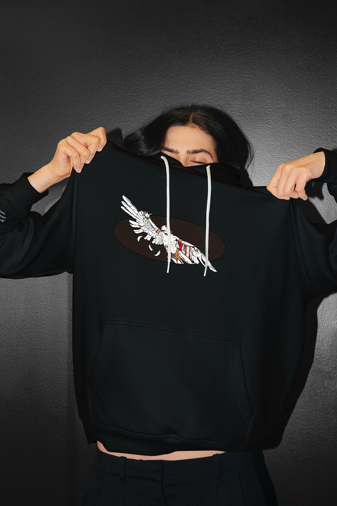 The Icarus Embroidered Sweatshirt / Cotton Tee / Hoodie